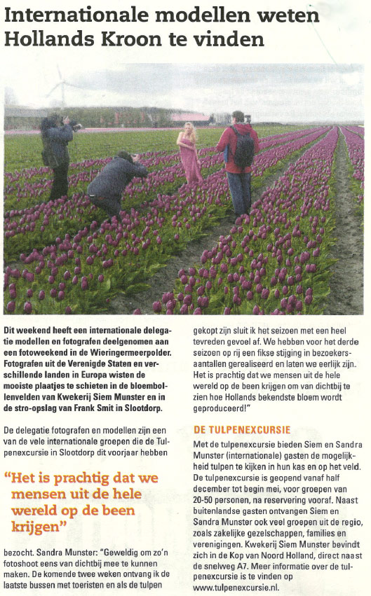 Tulip-field-shoot