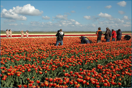 behindscenes01