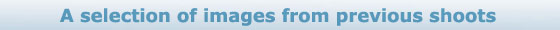 images-from-previous-shoots